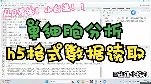 【入门级！小白进 】单细胞——h5格式数据读取