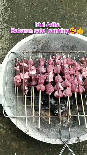 Grafting Examples on Reels