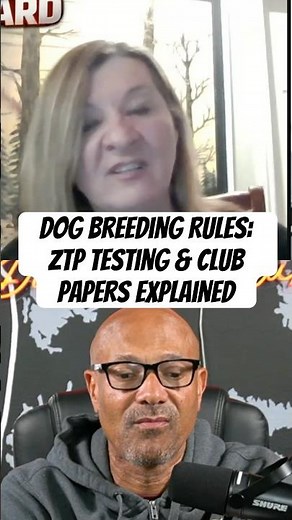 Dog Breeding Rules: ZTP Testing & Club Papers Explained Guest @vonryan_doberman