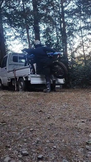 筋肉はすべてを解決する