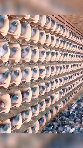 user1180670275061 on TikTok