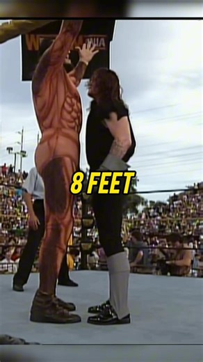 TALLEST WRESTLERS IN #wwe