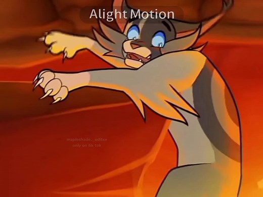 Flametail and Jayfeather: Delving into the Warrior Cats World