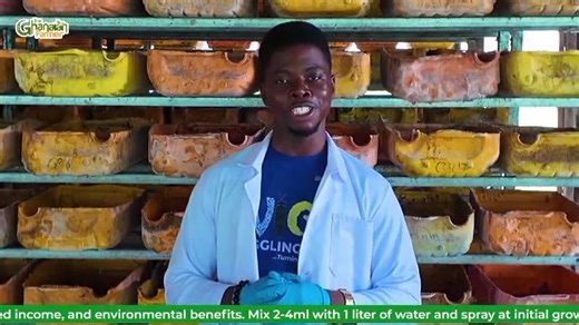 123K views · 1.7K reactions | Yoooo, look sharp oooh and earn your own money . Here's how this senior high school graduate is cashing out big time from black soldier fly farming. | The Ghanaian Farmer | Facebook