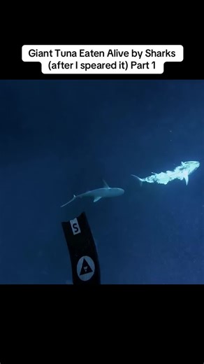 Carrwoww (@carrwow9)’s videos with original sound - Carrwoww