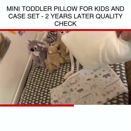 Mini Toddler Pillow for Kids and Case Set - 2 Years Later Quality Check