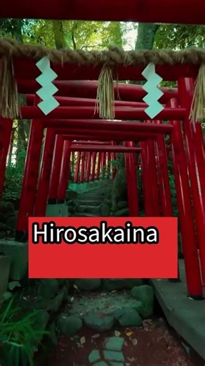 Kanazawa Japan 🇯🇵 The Hidden Traditional City Tourists Miss