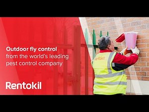 EcoCatch Flies: Power-free, superior outdoor fly control | Rentokil