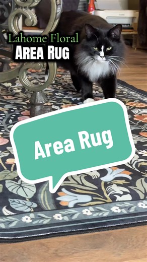 Transform Your Living Room with a Gorgeous Area Rug