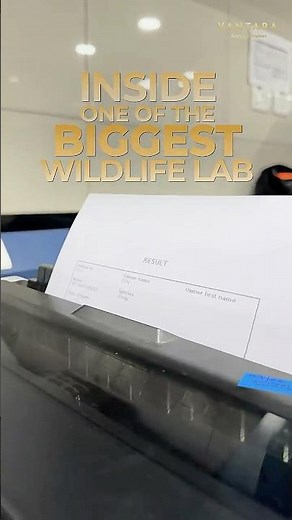 Inside Vantara’s Lab: 🔬ASMR Edition