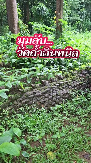 #วัดถ้ำอินทนิล แม่สอด จ ตาก