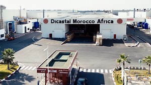 Africa welcomes first lighthouse factory operated by China's CITIC Dicastal Group