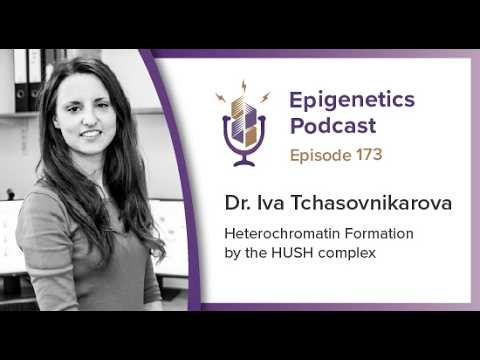 Epigenetics Podcast #173 - Heterochromatin Formation by the HUSH Complex with Iva Tchasovnikarova