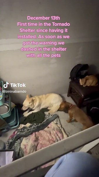 Tornado Shelter Preparation Tips and Action