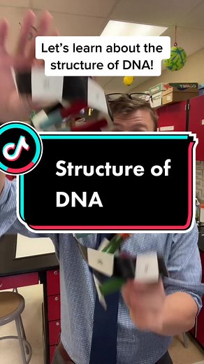 Understanding the Structure of DNA