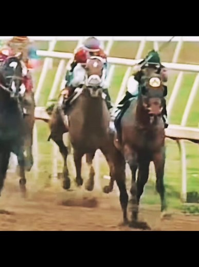 Ghostzapper: A Champion Thoroughbred in Action