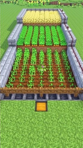 Minecraft Automatic Crop Farm 🌾 | Easy Wheat Farm Tutorial | Unlimited Food!