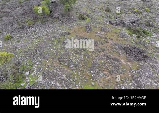 Aerial view of basalt rocks and natural vegetation across frozen lava plain landscape. Solidified magma terrain shows sparse plant cover and rugged volcanic textures in an uninhabited area Stock Video Footage - Alamy
