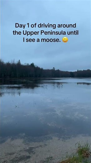 Day 1 of Driving Around the Upper Peninsula Until I See a Moose! 🫎