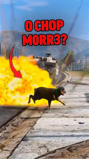 WHAT HAPPENS IF CHOP ENTERS THE GTA 5 MILITARY BASE? #gta #gtav #gta5 #gtaonline #games #shorts