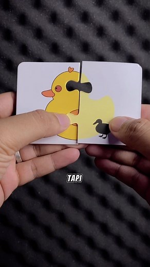 455K views · 5.3K reactions | How to solve : IQ Zigsaw Duck Puzzle | Rizalmaihndra | Facebook