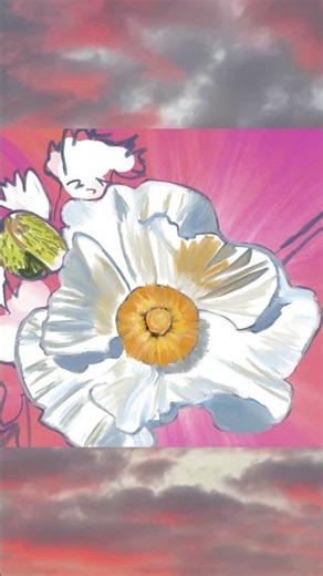 ‪@GreenVanPlan‬ Human Made Art + Nature: Matilija Poppy, Ojai Rewild Garden Tour
