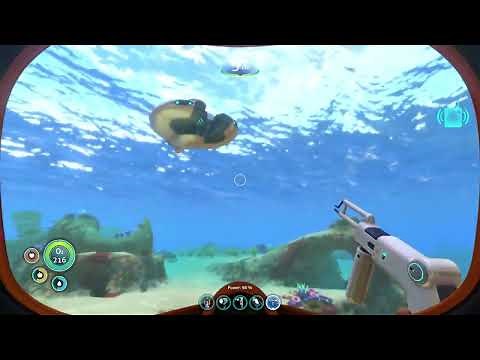 Subnautica get rubies easy Sparse Reef | Subnautica Guide 2022