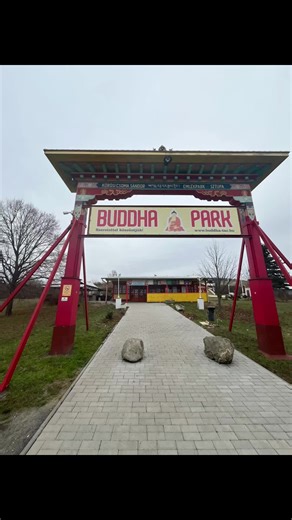#buddha #park #tar #meditáció #lélek #kívánság #fy #foryour #kirándulás #foru