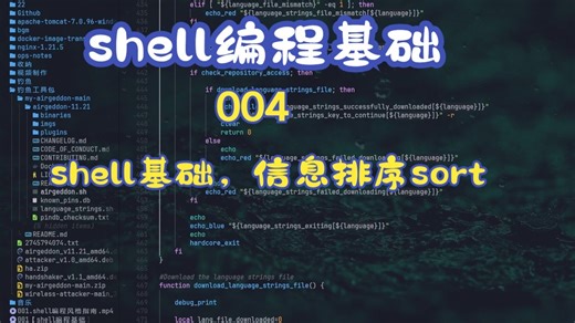 004【shell编程基础】shell基础知识，信息排序sort