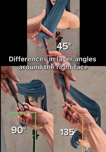 Comparing Long Hair Back Outline Shapes