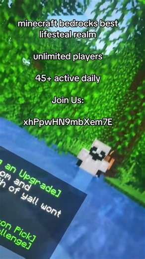 How to join the Lifesteal SMP realm! Works in Nov 2025! #smp #minecraft #gaming #viral