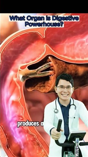 💥 The Ultimate Mixer: Unmasking the Pancreas as Your Digestive Powerhouse (Enzymes & pH Secrets)