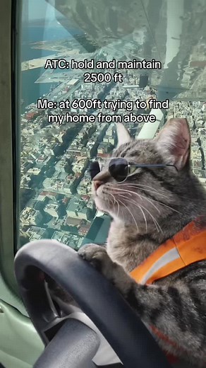 ATC Instructions and Navigation Troubles: A Humorous Air Traffic Control Meme