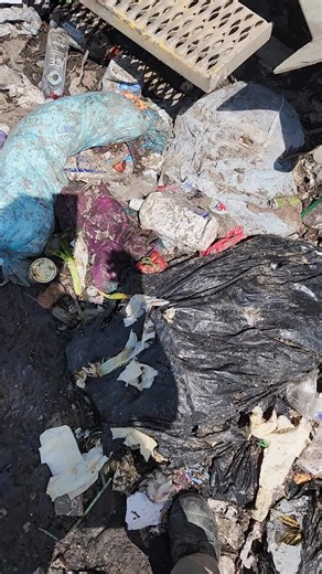 garbagewomen2.0 (@garbagewoman2.0)’s videos with original sound - garbagewomen2.0