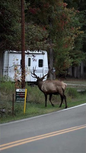 I think this guy is in the market to buy some real estate 🤣 Makes sense if you read the sign 😁