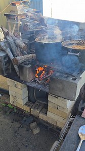 It's a crazy morning here 😜 | crazy backyard mixers. 2