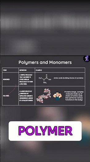 Polymers Explained: From Monomers to Massive Structures