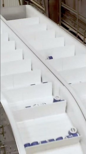 Stainless Steel Incline Conveyor with 3 Point Adjustable Chute #conveyor #stainlesssteel #shorts