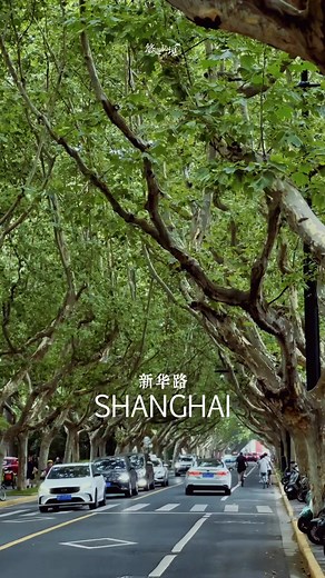 Xinhua Road（新华路）is a street located in Changning District, Shanghai, running from the east at Huaihai West Road to the west at Kaisen Road. While not particularly long, this street is known for its numerous garden villas, which were built in the 1920s and blend Eastern and Western architectural styles. These historic buildings have a history of nearly a century and continue to showcase their unique charm.⁠ ⁠ ⁠📷: 杨卓 ⁠ ⁠Share the beautiful scenes of Shanghai with #ipshanghai to be featured!⁠ ·⁠ ·