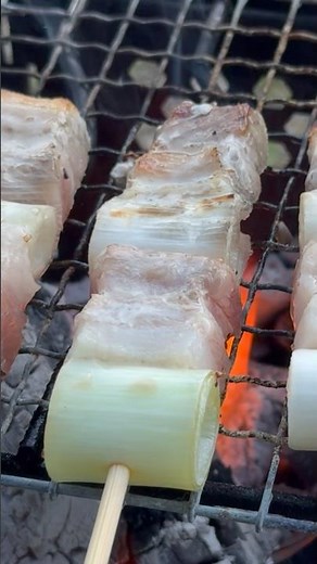 【夏camp】お勧め！薪と炭のハイブリッドが丁度いい！ #outdoors #bbq #camping
