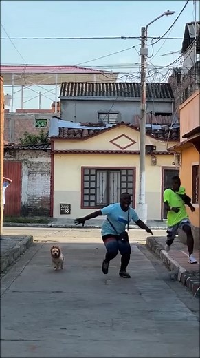 🤣🤣🤣😂😂😂 try not to laugh #fun #funny #prank #snake #scareprank #fail #failarmy #foryou #fyp #trending #funnyvideos #failvideo #learnontiktok | Scary Pranks