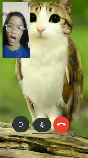 why do you keep calling me????