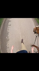 Thanks to Ariat for making comfortable boots! 🤣 they’re just as comfy in the saddle as they are out of it. I do need to clean them now though, as I had to walk through mud 😭 | Laura Robson equestrian