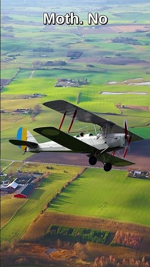 The "Wrong Way Up" Is the Right Way Up #shorts