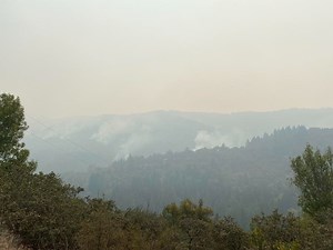 Advisory: Wildfire Smoke To Impact Bay Area