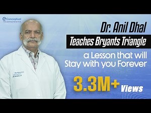 Prof. Dr. Anil Dhal teaches Bryants Triangle a lesson that will stay with you forever | eConceptual
