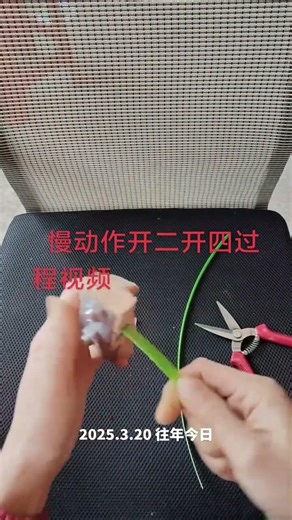 Master Hand Weaving from Scratch: Beginner's Guide