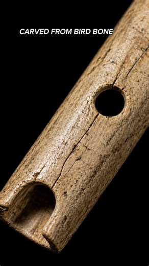 This Bone Made Music 40,000 Years Ago