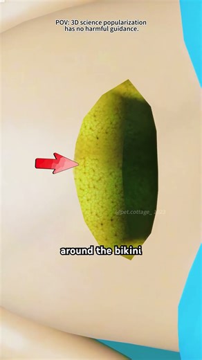 How C-section is performed? (3D Animation)