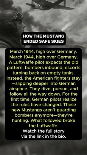 How the Mustang Ended Safe Skies